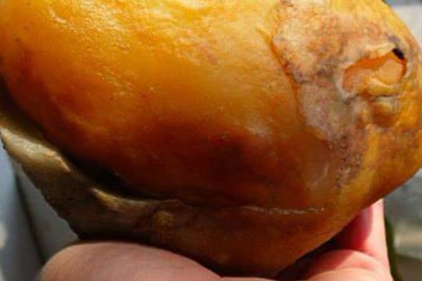 黃龍玉有收藏價值嗎 黃龍玉什么顏色最值錢（有幾種顏色）