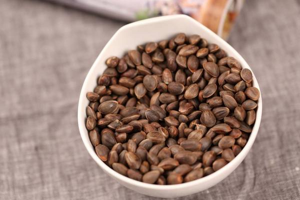 松子的產(chǎn)地在哪里 松子什么時(shí)候成熟上市