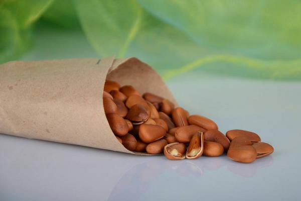 松子是什么樹(shù)的果實(shí) 松子怎么來(lái)的