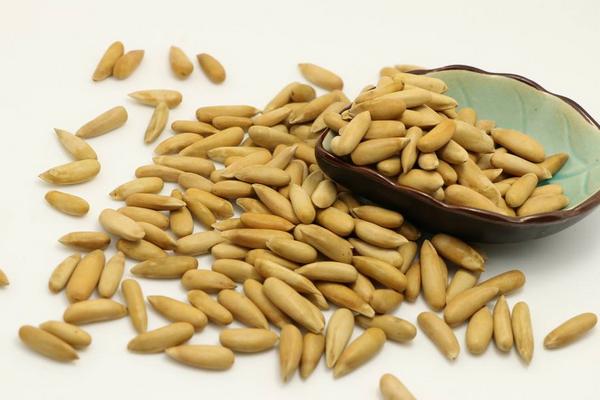 松子是什么樹(shù)的果實(shí) 松子怎么來(lái)的