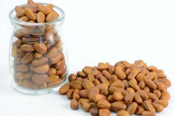 松子是什么樹(shù)的果實(shí) 松子怎么來(lái)的