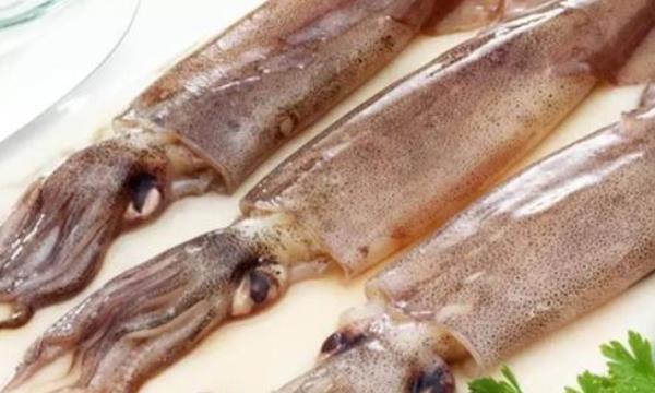 魷魚、墨魚、章魚、烏賊、八爪魚的區(qū)別是什么 魷魚的產(chǎn)地分布