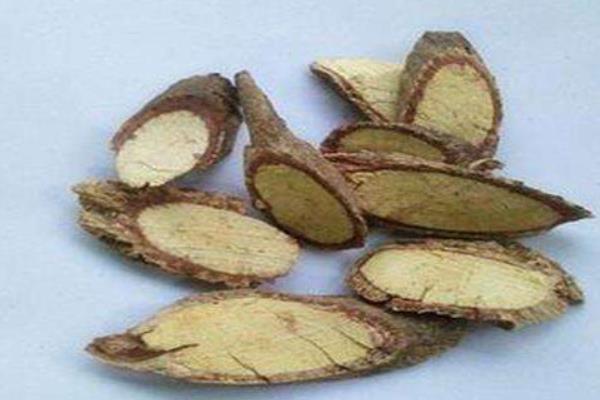 刺梨根的功效與作用及禁忌 刺梨根熬水的功效