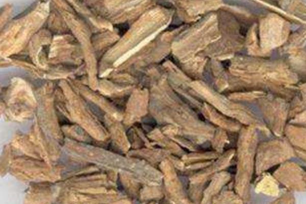 刺梨根的功效與作用及禁忌 刺梨根熬水的功效