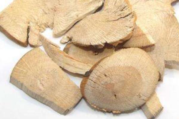 刺梨根的功效與作用及禁忌 刺梨根熬水的功效