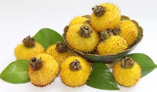 刺梨怎么去刺 刺梨果兒是新鮮的好還是干的好