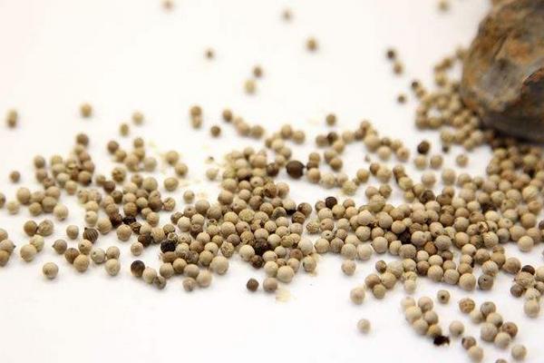 白胡椒和黑胡椒的區(qū)別是什么 白胡椒和黑胡椒哪個好
