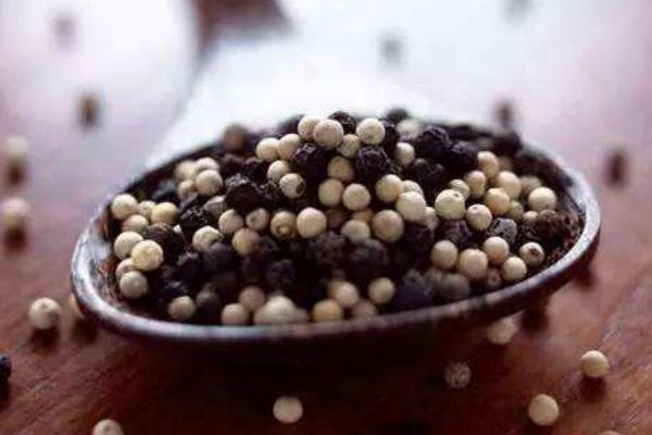 白胡椒和黑胡椒的區別是什么 白胡椒和黑胡椒哪個好