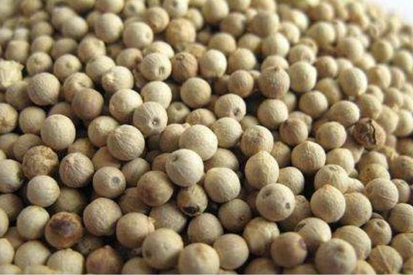 白胡椒和黑胡椒的區別是什么 白胡椒和黑胡椒哪個好