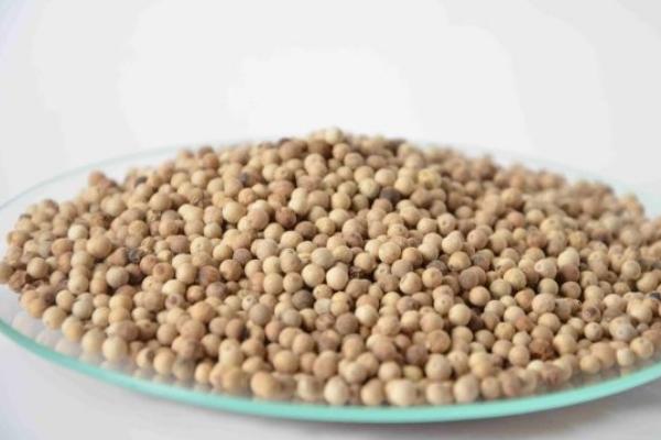 白胡椒和黑胡椒的區別是什么 白胡椒和黑胡椒哪個好