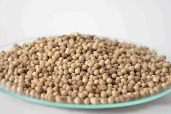 胡椒粉是黑胡椒還是白胡椒 白胡椒和黑胡椒的用途分別是什么