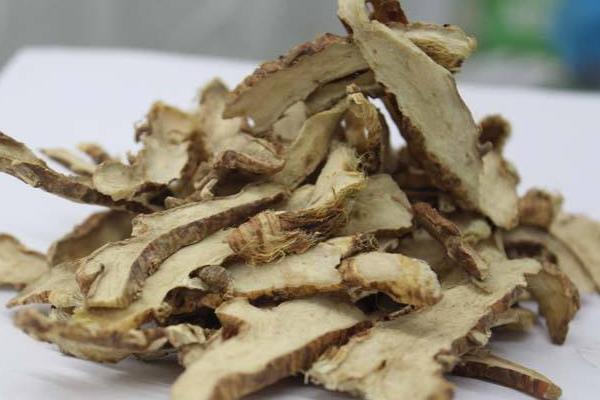 知母種植效益 知母在南方可以種植嗎