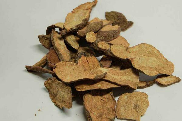 白首烏、何首烏、制首烏、首烏藤的區別分別是什么