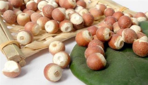 大芡實與小芡實哪種好 生芡實和炒芡實的區別是什么
