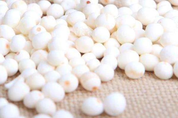 大芡實與小芡實哪種好 生芡實和炒芡實的區別是什么