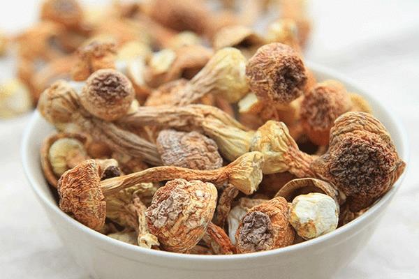 姬松茸市場價格多少錢一斤 姬松茸與什么一起煲湯最好