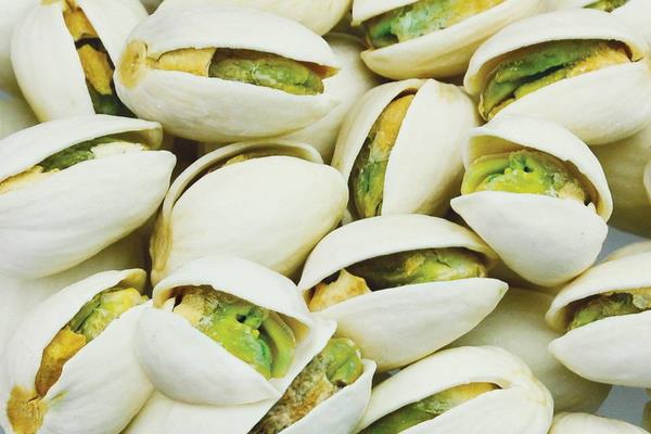 開心果產地在哪里 開心果長在哪里