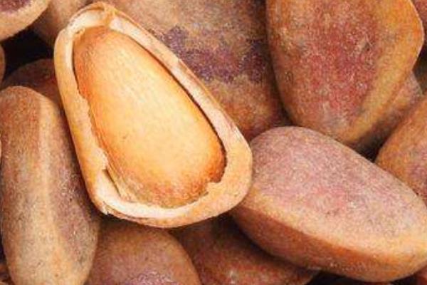 生松子怎么炒開(kāi)口 生松子能存放多久