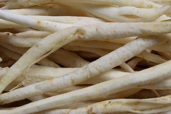 沙參的功效與作用及禁忌 沙參的藥用價值