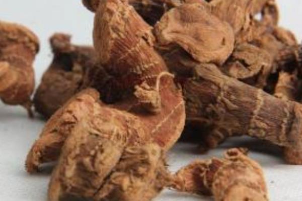 良姜是什么 良姜在調(diào)料中的作用是什么