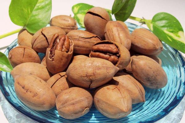 碧根果是堅果嗎 碧根果是核桃嗎