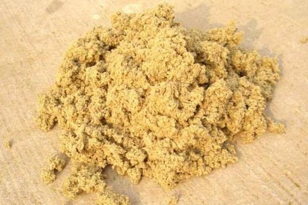 什么是艾草 艾草有幾種 艾草葉怎么辨認(rèn)