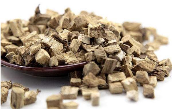 葛根市場價格多少錢一斤 葛根什么時候挖最好