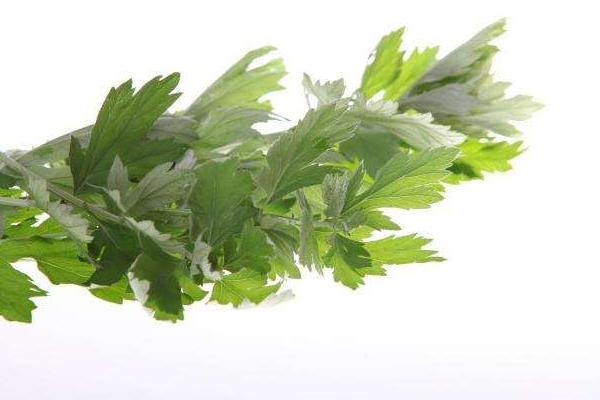 洗艾草澡有什么好處 艾草洗下身可以嗎