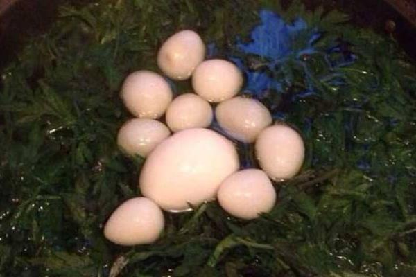 艾草煮蛋的功效和作用 艾草煮雞蛋什么時(shí)候吃