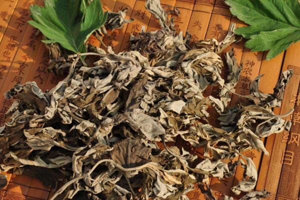 艾草薰房間有什么作用 艾草熏房間的正確做法