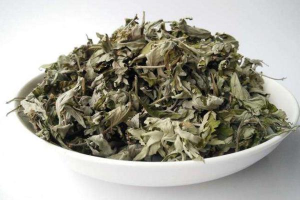 艾草薰房間有什么作用 艾草熏房間的正確做法