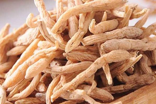 太子參種植技術 太子參種植時間