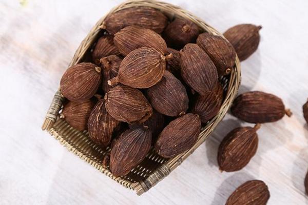 草果和罌粟的區別是什么 草果在調料中的作用