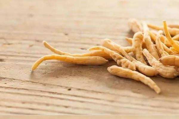 太子參種植技術(shù) 太子參種植時間