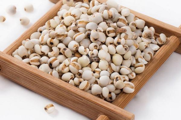 薏米是怎么種出來的 薏米是什么植物的果實