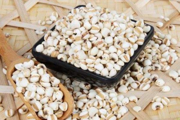 薏米是怎么種出來的 薏米是什么植物的果實(shí)