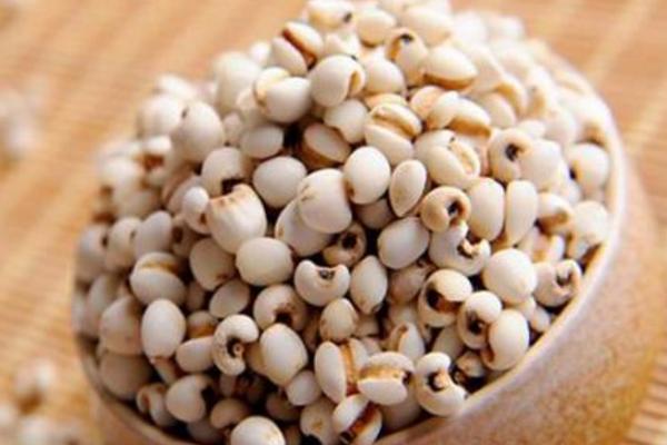 薏米是怎么種出來的 薏米是什么植物的果實(shí)