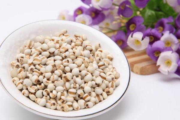 薏米市場價格多少錢一斤 薏米產地在哪里