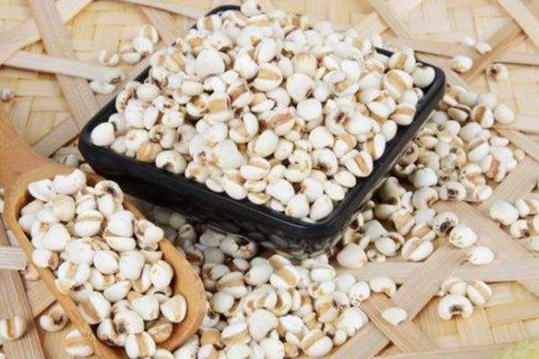 薏米市場價格多少錢一斤 薏米產地在哪里