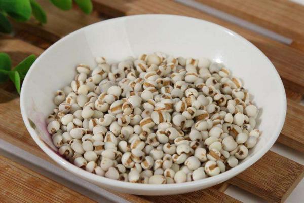 薏米市場價格多少錢一斤 薏米產地在哪里