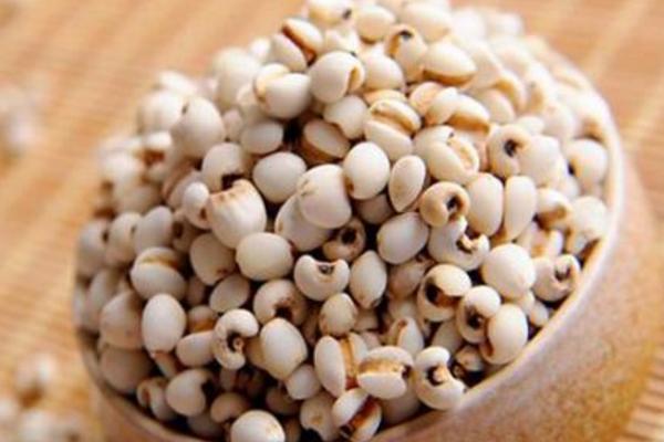 薏米市場價格多少錢一斤 薏米產地在哪里