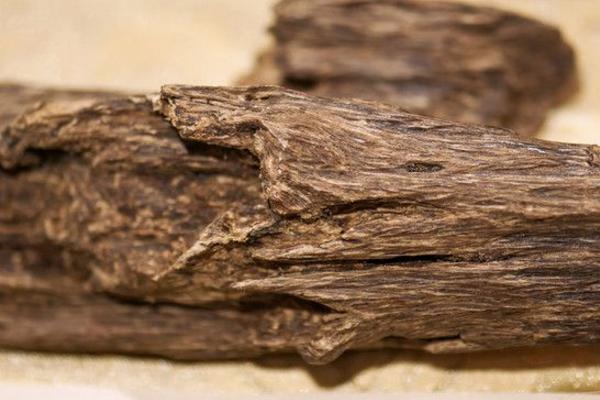 沉香和沉香木的區(qū)別是什么?沉香木是沉香嗎