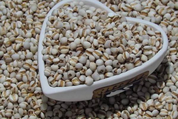 薏米的功效與作用及禁忌 薏米的營養價值