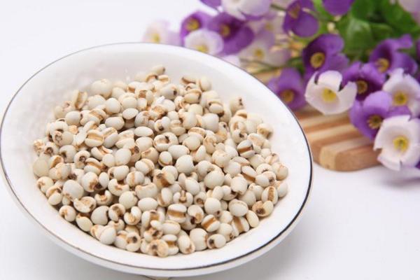薏米的功效與作用及禁忌 薏米的營養價值