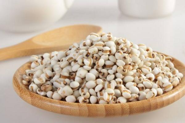 薏米的功效與作用及禁忌 薏米的營養價值