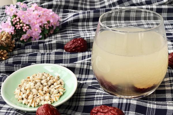 薏米的功效與作用及禁忌 薏米的營養價值