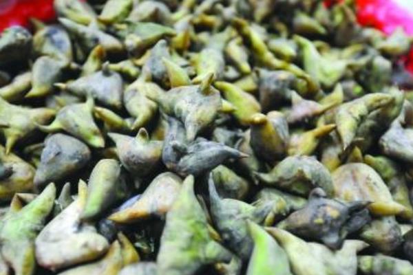 水菱角功效與作用及禁忌 水菱角做法大全