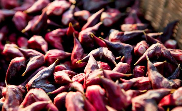 鮮菱角怎么做好吃又簡單 鮮菱角湯功效與作用