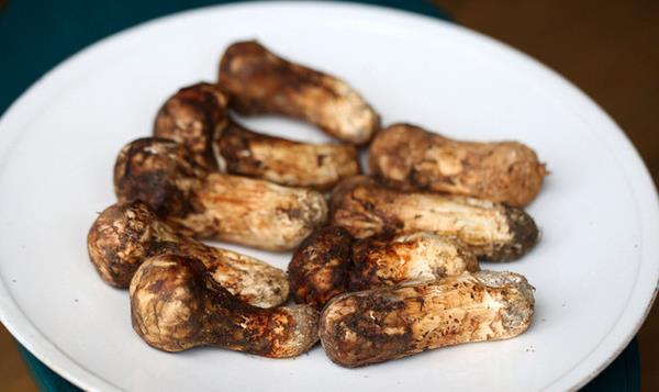 新鮮的松茸怎么吃最好 松茸可以生吃嗎