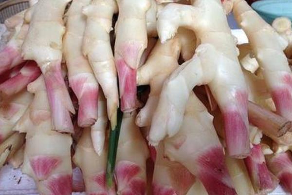 仔姜怎么吃 孕婦可以吃仔姜嗎